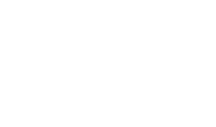 Integrated Nano Computing Lab logo